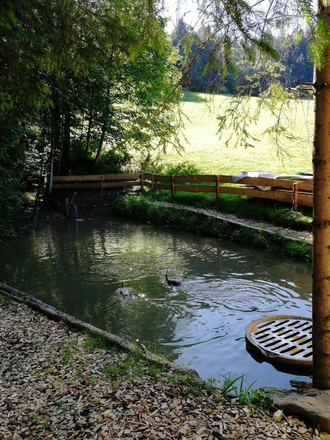 Ferienhaus Am Waldrand Von Egg Bregenzer Wald Εξωτερικό φωτογραφία
