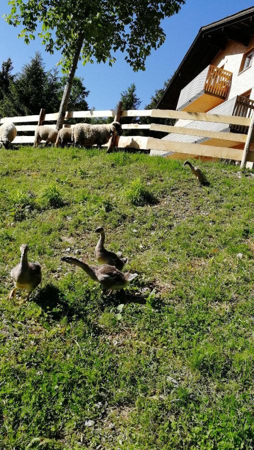 Ferienhaus Am Waldrand Von Egg Bregenzer Wald Εξωτερικό φωτογραφία