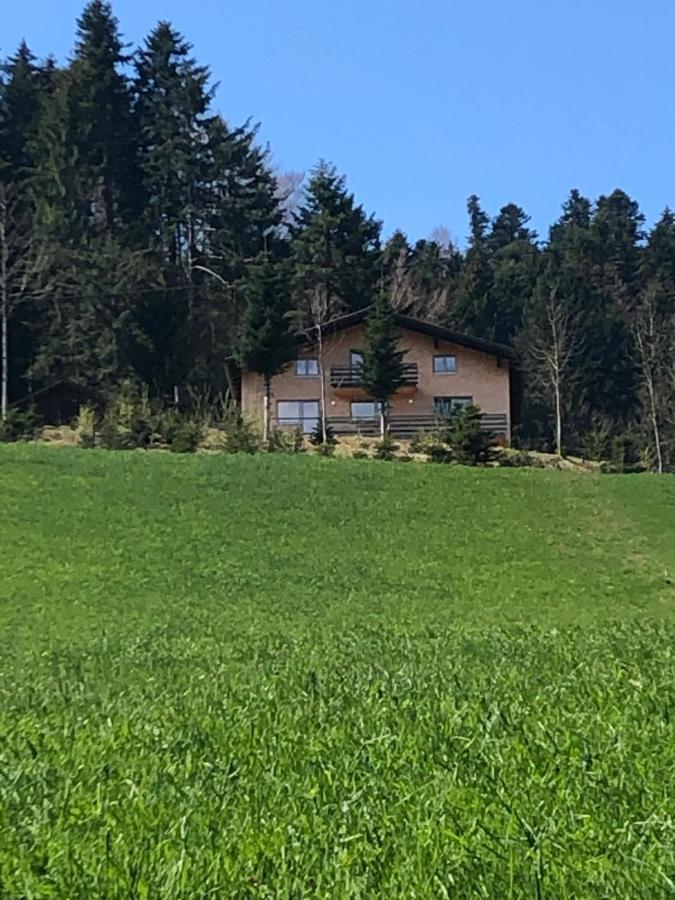 Ferienhaus Am Waldrand Von Egg Bregenzer Wald Εξωτερικό φωτογραφία
