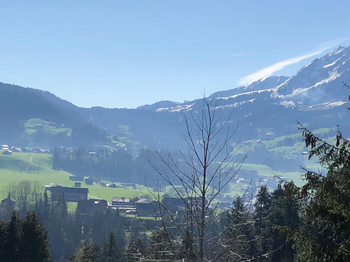 Ferienhaus Am Waldrand Von Egg Bregenzer Wald Εξωτερικό φωτογραφία
