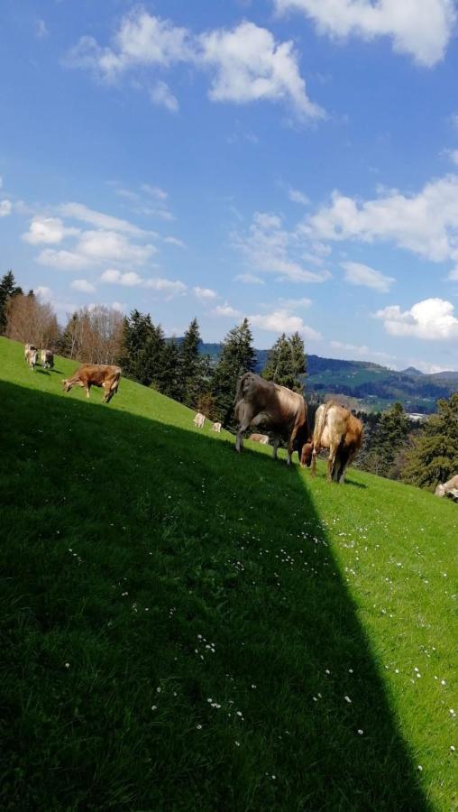 Ferienhaus Am Waldrand Von Egg Bregenzer Wald Εξωτερικό φωτογραφία